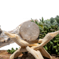 Clear Quartz with Sun Healer