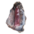 Mookaite Jasper